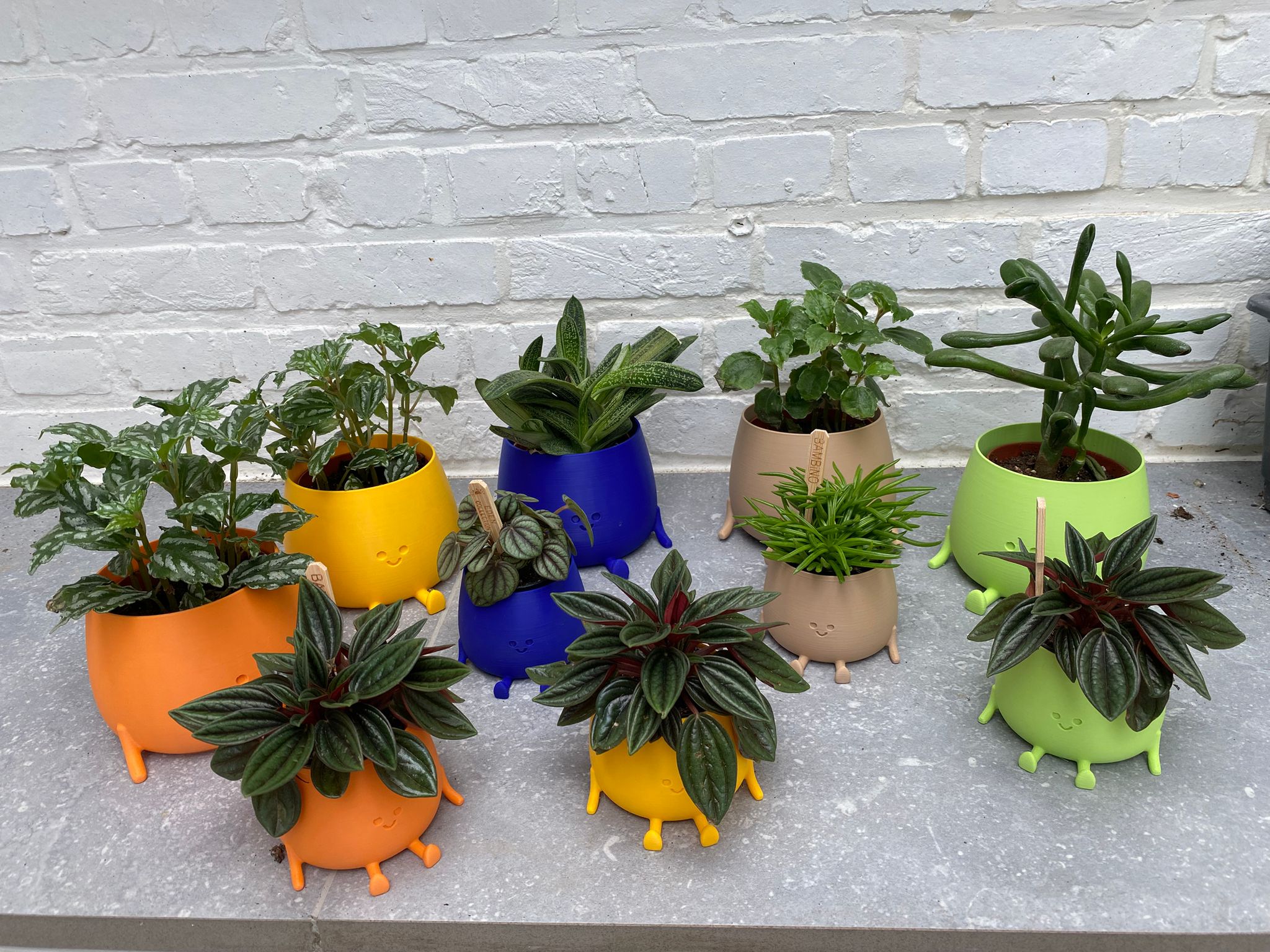 Happy pot groot en klein detail