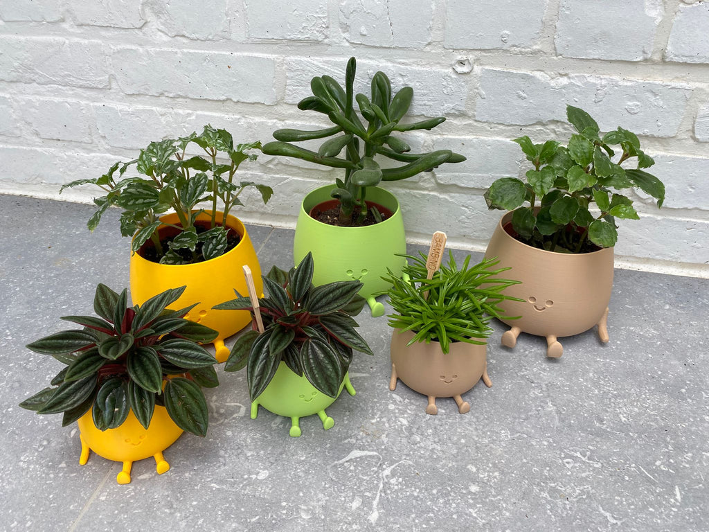 Happy pot groot en klein lifestyle