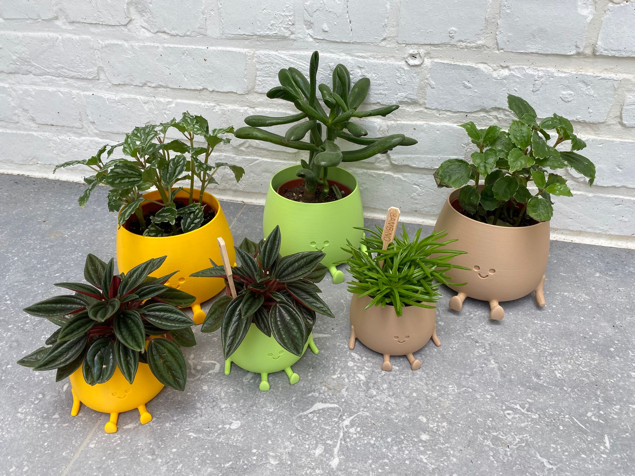 Happy pot groot en klein lifestyle